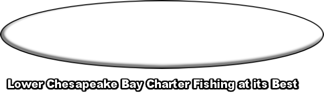 Lower Chesapeake Bay Charter Fishing at its Best